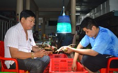 Nâng giá trị cua biển Cà Mau