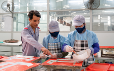 Đào tạo nghề cho lao động mất việc
