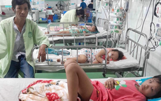 Bị ong vò vẽ đốt, người mẹ hôn mê và 3 con nhỏ bị thương tích nặng