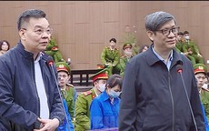 Vụ án Việt Á: Hai cựu bộ trưởng cùng được tuyên dưới khung