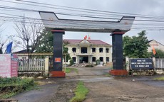 Thanh tra toàn diện vụ gà dự án cấp cho người nhà chủ tịch xã ở Quảng Nam