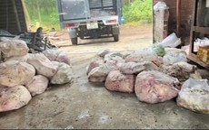 Bên trong cơ sở chế biến mỡ, da động vật ở Đồng Nai