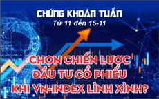 Chứng khoán tuần tới (từ 11 đến 15-11): Chọn chiến lược đầu tư cổ phiếu khi VN-Index lình xình?