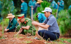 Làm thay đổi diện mạo vùng cao Kon Plông