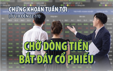 Chứng khoán tuần tới (từ 18 đến 22-11): Chờ dòng tiền bắt đáy cổ phiếu