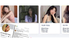Lập web "Vua gái gọi Hà Nội", môi giới mại dâm trên cả nước