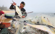 Phát triển kinh tế thủy sản bền vững