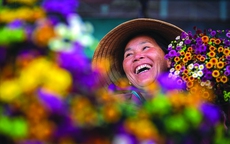 Ba bài thơ "Tặng người trồng hoa",  "Lời yêu",  "Khói sương huyên náo"