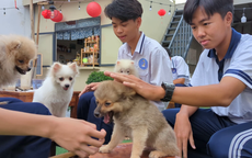 VIDEO: Quán cà phê thú cưng đáng yêu ở Cần Thơ