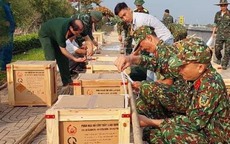 Danh sách 9 điểm bắn pháo hoa đêm giao thừa ở BR-VT