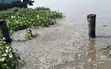 "ĐẦU ĐỘC" sông, suối