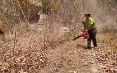 Bà Rịa - Vũng Tàu: Nguy cơ cháy rừng đang ở cấp cao nhất