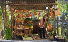 Sức hút từ thương hiệu