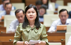 Đề xuất “luật hoá” thu phí ôtô vào nội đô TP HCM, Hà Nội