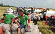 Chủ tịch Tập đoàn Lộc Trời xin lỗi nông dân vì “sự cố” nợ tiền lúa