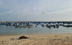 Hạ tầng nghề cá Bình Thuận đang quá tải