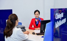 Khai trương hoạt động BVBank Bình Long