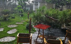 Cơn mưa lớn giải nhiệt cho người dân Tây Nguyên