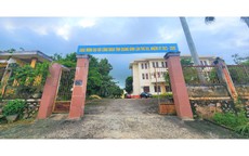 Thanh tra các sai phạm Công ty MTV Lâm công nghiệp Bắc Quảng Bình