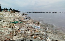 Bờ biển Mũi Né ngập ngụa rác thải