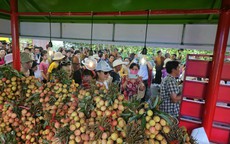 Rủ nhau "săn" đặc sản tại Lễ hội Trái cây Nam Bộ