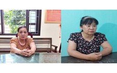 Nữ giúp việc kiêm "shipper" ma túy cho nữ chủ nhà