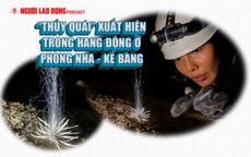 “Thủy quái” xuất hiện trong hang động ở Phong Nha - Kẻ Bàng