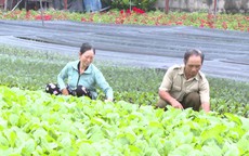 TP HCM: Hiệu quả từ những chương trình tín dụng chính sách xã hội
