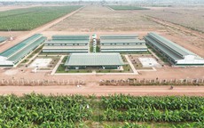 THACO AGRI đầu tư cơ sở vật chất, chăm lo đời sống người lao động
