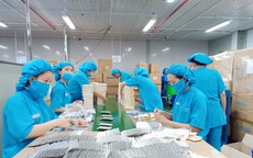 Chính phủ yêu cầu đánh giá về đề xuất xuất giảm giờ làm của Tổng LĐLĐ Việt Nam