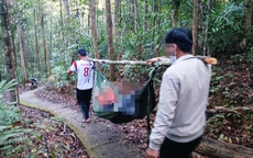 Cây rừng đổ, nữ du khách chết khi tham quan thác K50