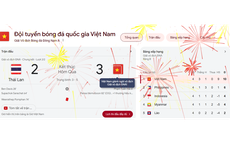 Việt Nam vô địch ASEAN Cup 2024, Google "đi bão" theo cách đặc biệt