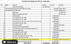 TP HCM: Trưởng ban đại diện phụ huynh lớp "tự nghĩ ra" thu - chi để vận động phụ huynh