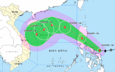 Bão Fengshen có thể giật tới cấp 13, ảnh hưởng tới Việt Nam thế nào?
