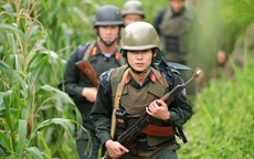Nghệ sĩ tham gia "đại án", lấy cảm hứng từ chuyên án có thật từng gây rúng động