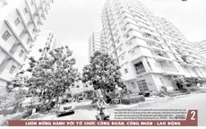 Báo in ngày 25-10: Lấp lánh vẻ đẹp cống hiến