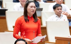 Đại biểu Quốc hội: "Bắt cóc online" là nỗi lo thường trực của nhiều gia đình