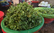 Giá nông thủy sản miền Tây: Rau xanh tăng giá vùn vụt