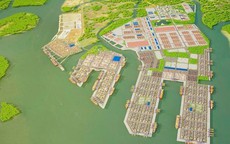 TP HCM đề xuất 21 chính sách cho khu thương mại tự do Cái Mép Hạ 3.800 ha