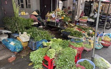 Rau xanh tăng chóng mặt ở chợ bán lẻ, nhiều bà nội trợ thở dài