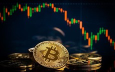 Thị trường tiền số hôm nay, 2-11: Cảnh báo chiêu lừa có thể khiến nhà đầu tư mất sạch