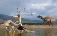 Loài quái vật bay chưa từng biết "trỗi dậy" từ bụng khủng long