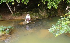 Có một suối "cá thần" khác ở Thanh Hóa mà nhiều người chưa biết