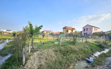 Khu đất công 1.500 m² được gia đình cựu Bí thư phường thuê với giá chỉ 500.000 đồng/năm