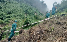 Thứ không ai muốn thấy vừa xuất hiện trong rẫy người dân ở Đà Nẵng