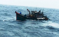 Tàu cá bị cháy, chìm giữa khơi, 53 ngư dân Đà Nẵng nhảy xuống biển