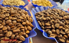 Giá cà phê hôm nay 20-12: Giảm phiên thứ 7, tiêu thụ cà phê tăng kỷ lục