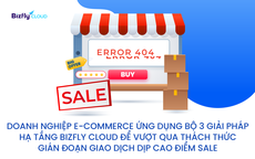 Nguy cơ gián đoạn giao dịch: bài toán lớn của doanh nghiệp thương mại điện tử (e-commerce) mùa sale