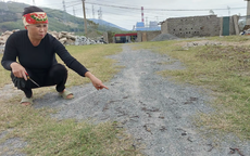 Lý giải hiện tượng kỳ lạ vừa xuất hiện ở Quảng Trị khiến người dân xôn xao