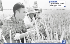 Báo in Người Lao Động 22-12: Thưởng Tết khả quan, an tâm làm việc